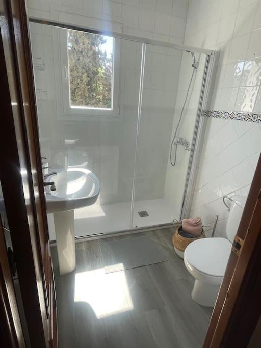 Exclusive Apartamento Limonar Malaga Exterior photo